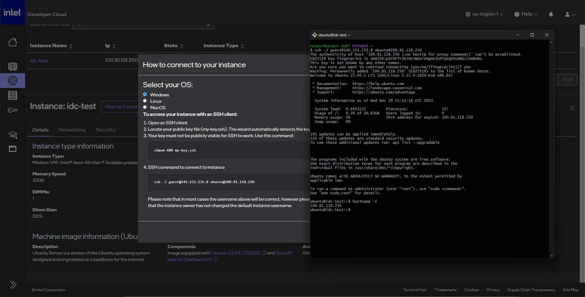 Protected and watermarked picture as part of site or resource